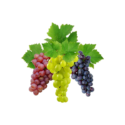 Best ripe grapes