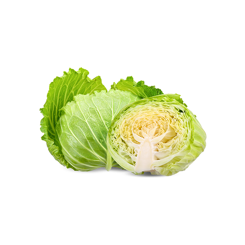 Cabbage vegetables